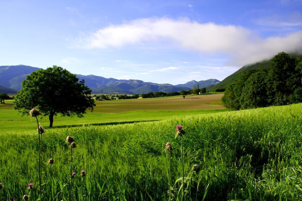 Agriturismo La Cascina Di Opaco Nórcia Exterior foto