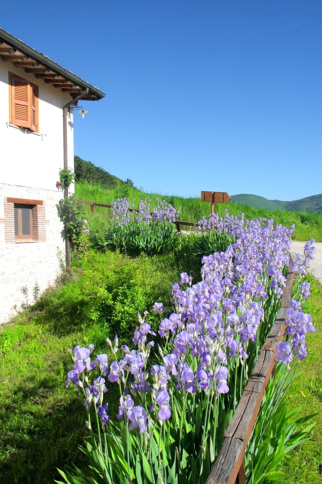 Agriturismo La Cascina Di Opaco Nórcia Exterior foto